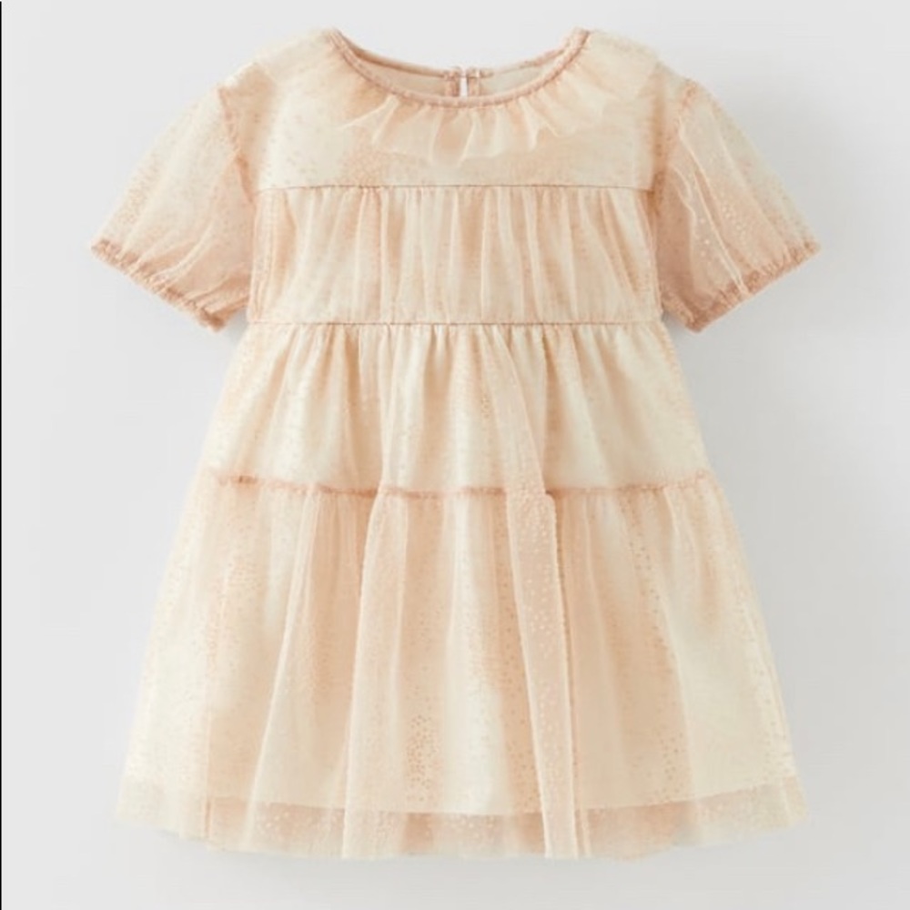 Zara dress